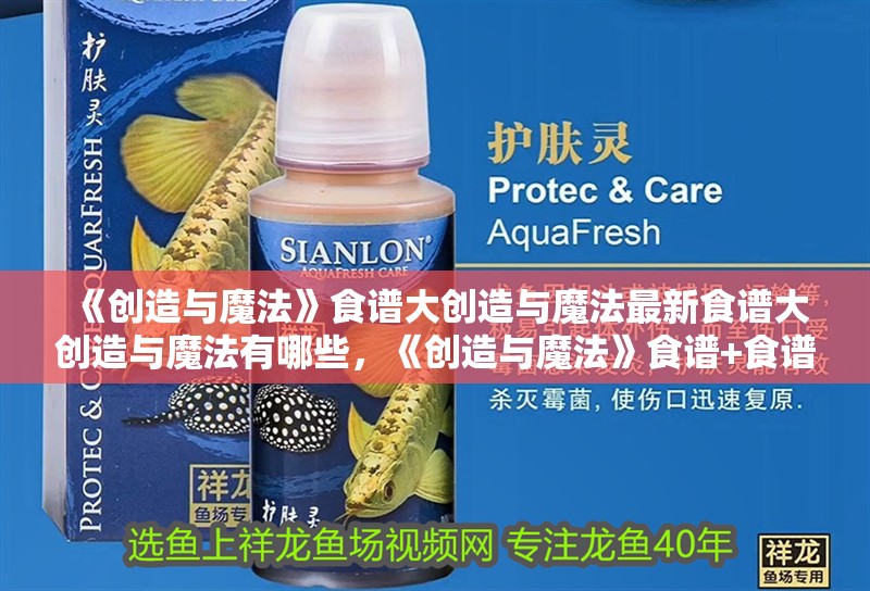 《創造與魔法》食譜大創造與魔法最新食譜大創造與魔法有哪些，《創造與魔法》食譜+食譜+食譜+食譜+食譜+食譜+食譜