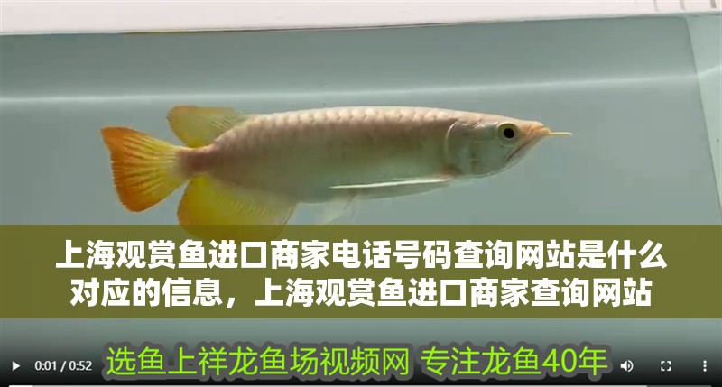 上海觀賞魚進(jìn)口商家電話號碼查詢網(wǎng)站是什么對應(yīng)的信息，上海觀賞魚進(jìn)口商家查詢網(wǎng)站
