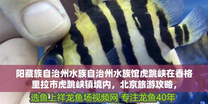 陽藏族自治州水族自治州水族館虎跳峽在香格里拉市虎跳峽鎮(zhèn)境內(nèi)，北京旅游攻略，