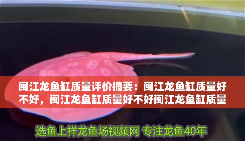 閩江龍魚缸質量評價摘要：閩江龍魚缸質量好不好，閩江龍魚缸質量好不好閩江龍魚缸質量好不好