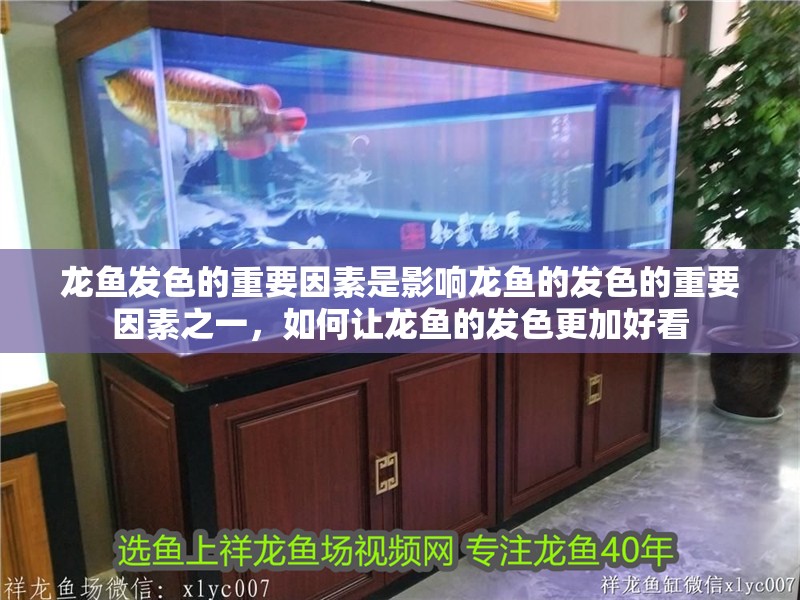 龍魚發(fā)色的重要因素是影響龍魚的發(fā)色的重要因素之一，如何讓龍魚的發(fā)色更加好看