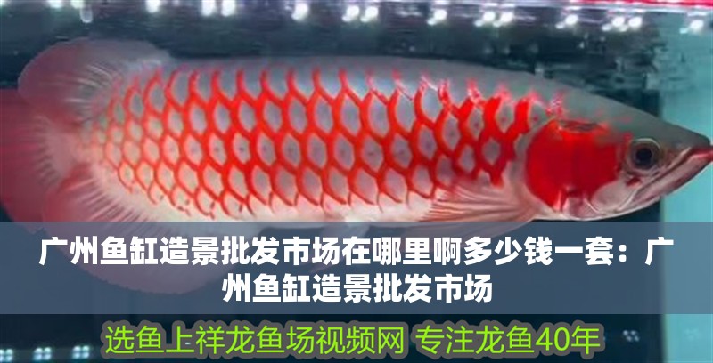 廣州魚缸造景批發(fā)市場在哪里啊多少錢一套：廣州魚缸造景批發(fā)市場