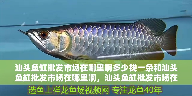 汕頭魚缸批發(fā)市場在哪里啊多少錢一條和汕頭魚缸批發(fā)市場在哪里啊，汕頭魚缸批發(fā)市場在哪里啊