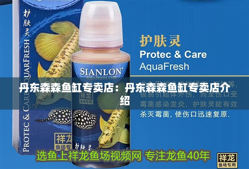 丹東森森魚缸專賣店：丹東森森魚缸專賣店介紹