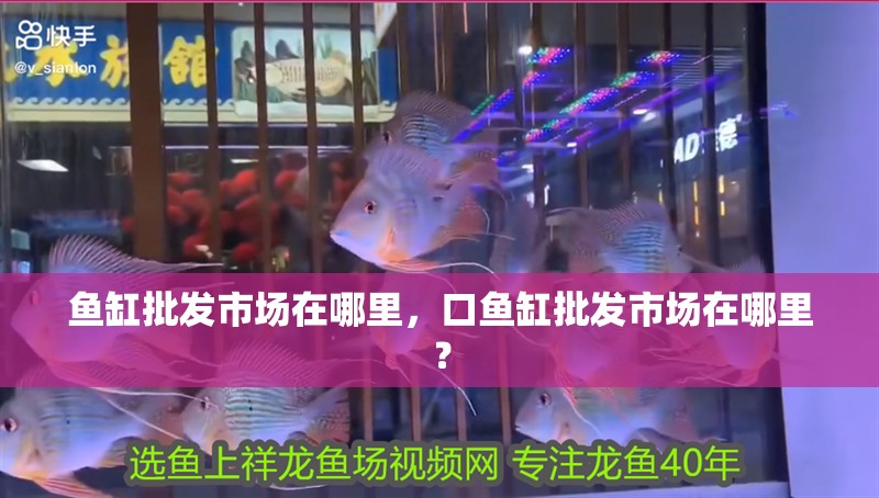 魚缸批發市場在哪里，口魚缸批發市場在哪里？