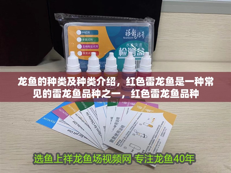 龍魚的種類及種類介紹，紅色雷龍魚是一種常見的雷龍魚品種之一，紅色雷龍魚品種