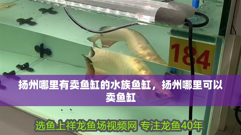 揚州哪里有賣魚缸的水族魚缸，揚州哪里可以賣魚缸