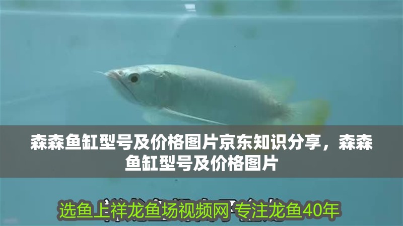 森森魚缸型號及價格圖片京東知識分享，森森魚缸型號及價格圖片