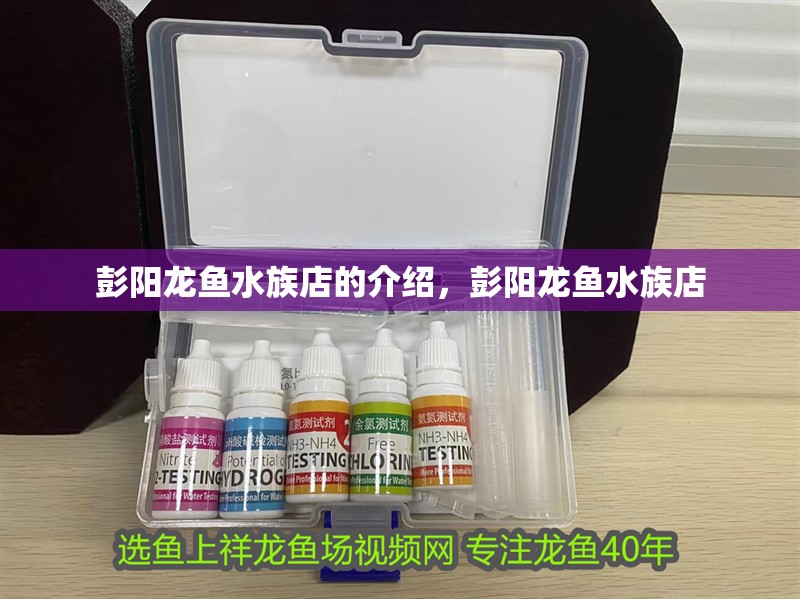 彭陽龍魚水族店的介紹，彭陽龍魚水族店