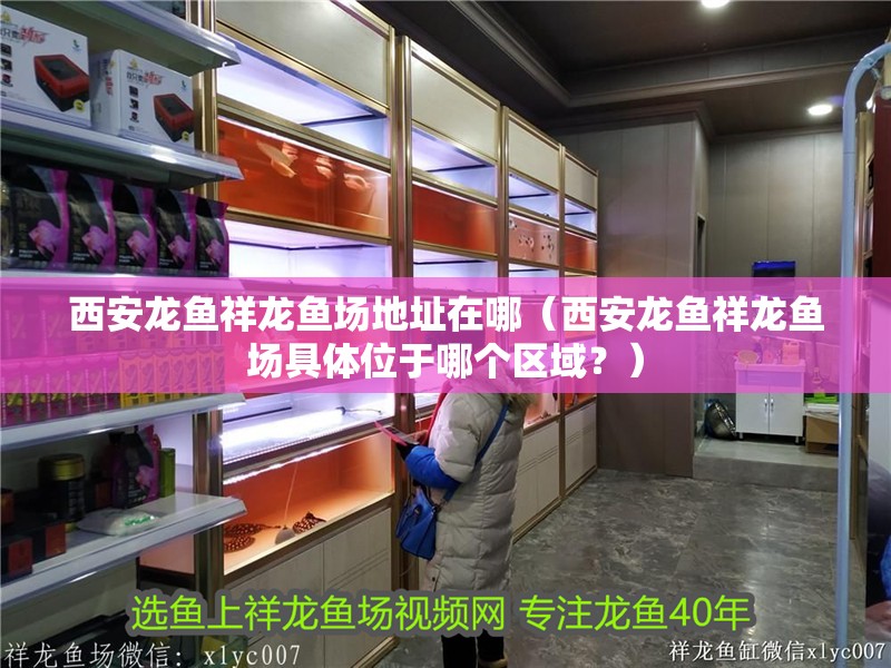 西安龍魚(yú)祥龍魚(yú)場(chǎng)地址在哪（西安龍魚(yú)祥龍魚(yú)場(chǎng)具體位于哪個(gè)區(qū)域？）
