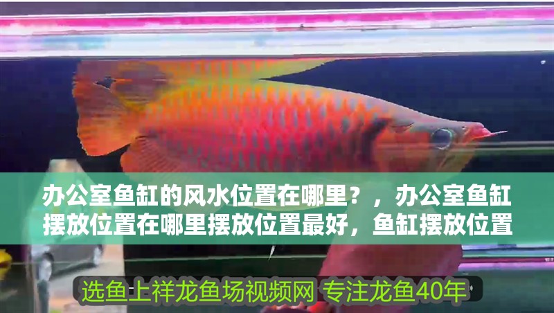 辦公室魚缸的風(fēng)水位置在哪里？，辦公室魚缸擺放位置在哪里擺放位置最好，魚缸擺放位置在哪里