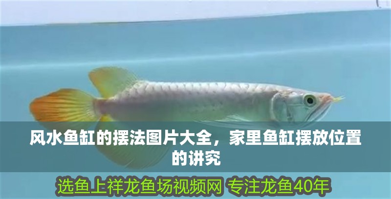 風水魚缸的擺法圖片大全，家里魚缸擺放位置的講究