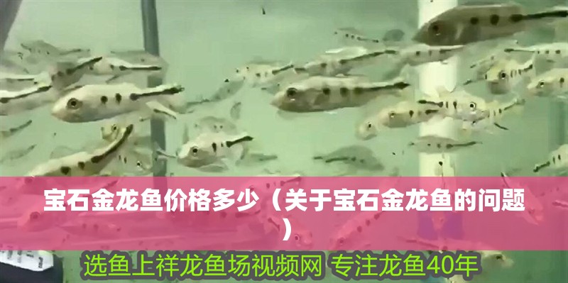 寶石金龍魚價格多少（關于寶石金龍魚的問題）