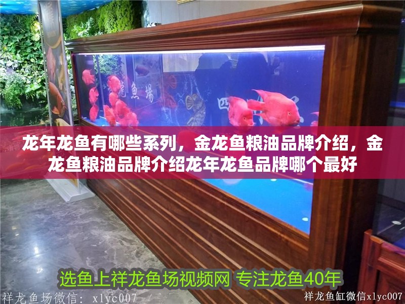 龍年龍魚有哪些系列，金龍魚糧油品牌介紹，金龍魚糧油品牌介紹龍年龍魚品牌哪個最好