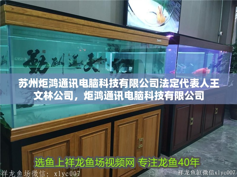 蘇州炬鴻通訊電腦科技有限公司法定代表人王文林公司，炬鴻通訊電腦科技有限公司