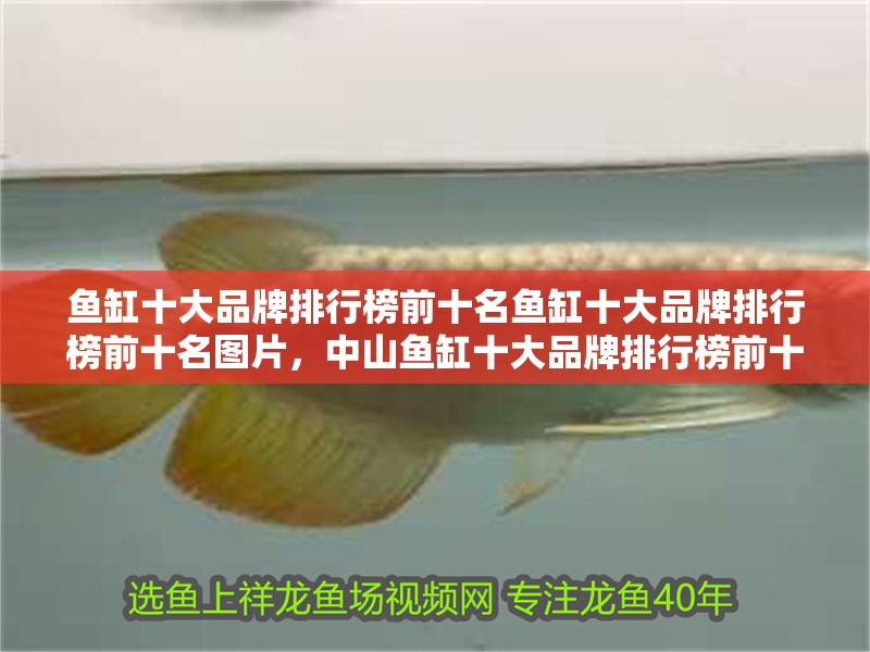 魚缸十大品牌排行榜前十名魚缸十大品牌排行榜前十名圖片，<strong><mark>中山</mark></strong>魚缸十大品牌排行榜前十名圖片