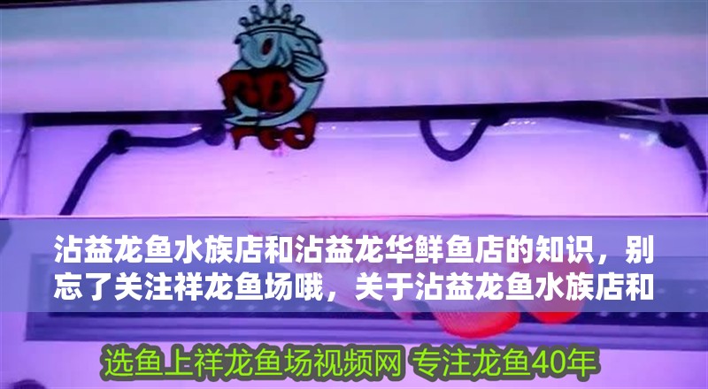 沾益龍魚水族店和沾益龍華鮮魚店的知識，別忘了關注祥龍魚場哦，關于沾益龍魚水族店和沾益龍華鮮魚店的介紹