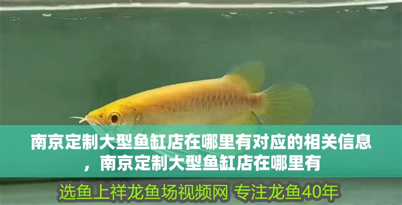 南京定制大型魚缸店在哪里有對應的相關信息，南京定制大型魚缸店在哪里有