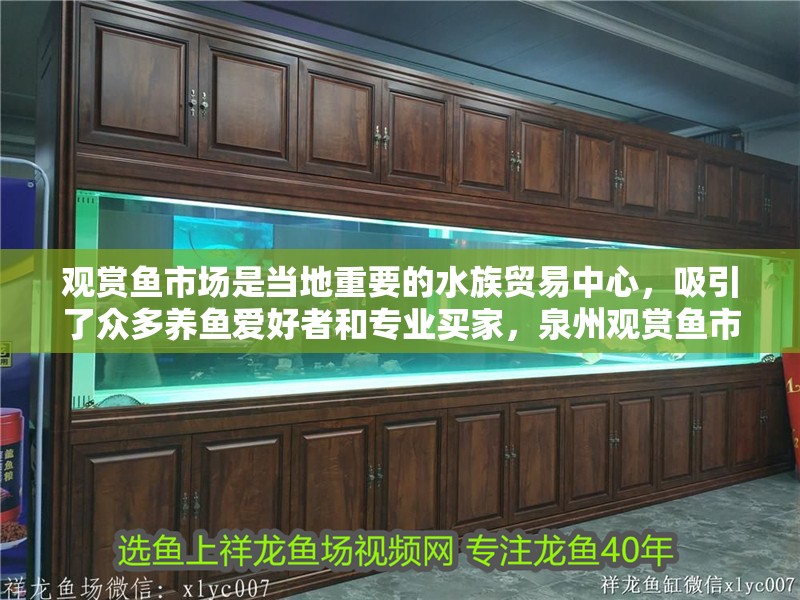 觀賞魚市場是當?shù)刂匾乃遒Q(mào)易中心，吸引了眾多養(yǎng)魚愛好者和專業(yè)買家，泉州觀賞魚市場養(yǎng)水養(yǎng)水,今天放闖缸魚等待我的噶瑪蘭