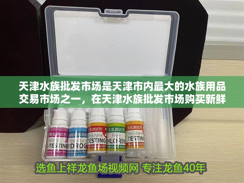 天津水族批發(fā)市場(chǎng)是天津市內(nèi)最大的水族用品交易市場(chǎng)之一,在天津水族批發(fā)市場(chǎng)購(gòu)買(mǎi)新鮮的海鮮有很多好處 觀賞魚(yú)百科 第2張 天津水族批發(fā)市場(chǎng)是天津市內(nèi)最大的水族用品交易市場(chǎng)之一,在天津水族批發(fā)市場(chǎng)購(gòu)買(mǎi)新鮮的海鮮有很多好處 天津水族批發(fā)市場(chǎng)是天津市內(nèi)最大的水族用品交易市場(chǎng)之一,在天津水族批發(fā)市場(chǎng)購(gòu)買(mǎi)新鮮的海鮮有很多好處 觀賞魚(yú)百科 第2張