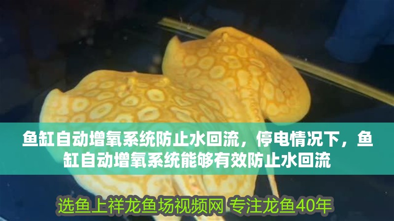 魚缸自動增氧系統防止水回流，停電情況下，魚缸自動增氧系統能夠有效防止水回流