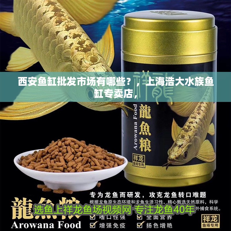 西安魚缸批發市場有哪些？，上海浩大水族魚缸專賣店，