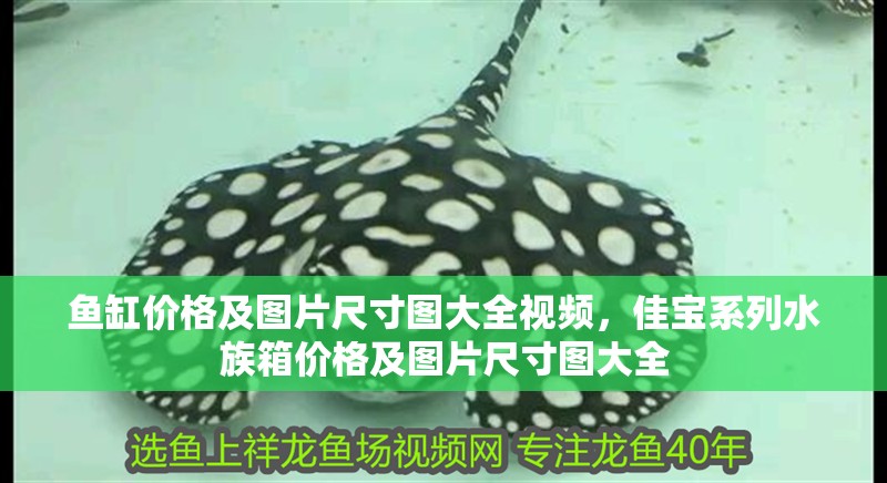 魚缸價格及圖片尺寸圖大全視頻，佳寶系列水族箱價格及圖片尺寸圖大全