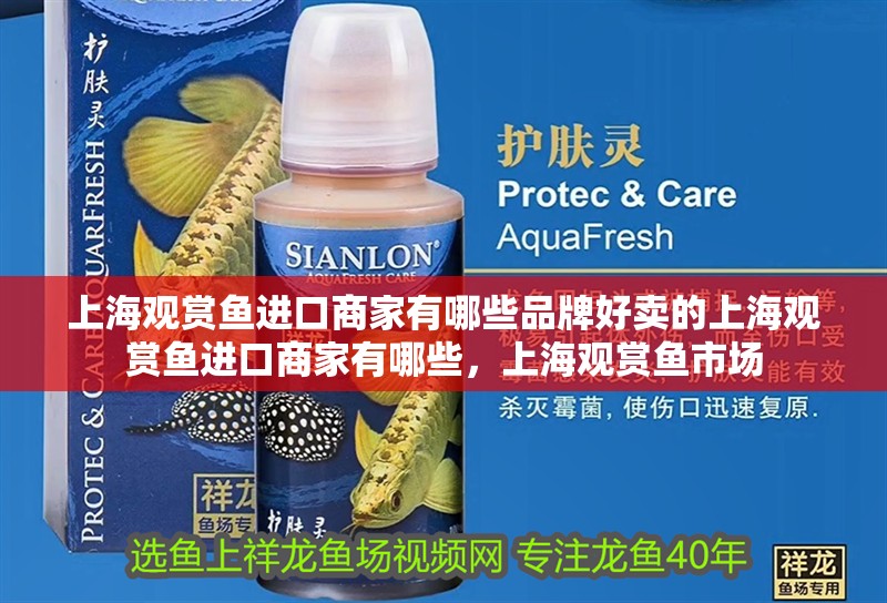 上海觀賞魚進口商家有哪些品牌好賣的上海觀賞魚進口商家有哪些，上海觀賞魚市場