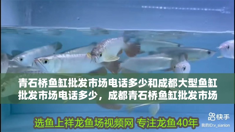 青石橋魚缸批發市場電話多少和成都大型魚缸批發市場電話多少，成都青石橋魚缸批發市場電話多少