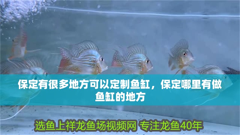 保定有很多地方可以定制魚缸，保定哪里有做魚缸的地方