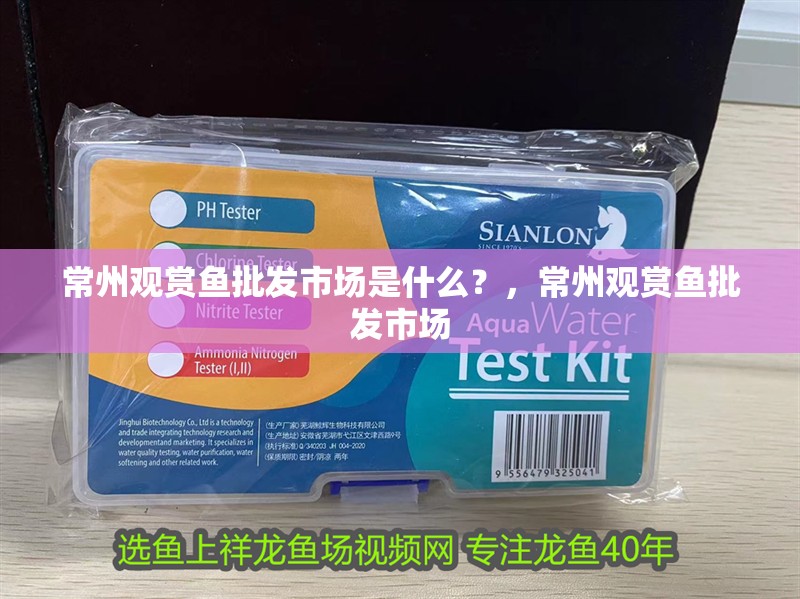 常州觀賞魚批發市場是什么？，常州觀賞魚批發市場