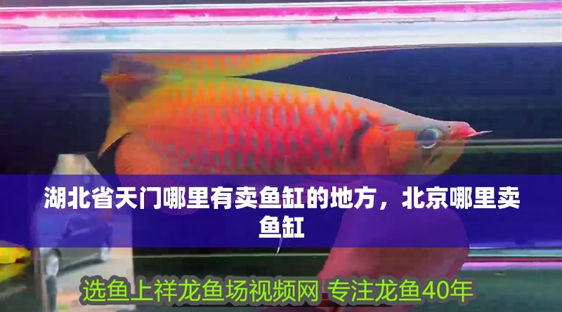 湖北省天門哪里有賣魚缸的地方，北京哪里賣魚缸