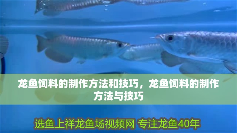 龍魚飼料的制作方法和技巧，龍魚飼料的制作方法與技巧