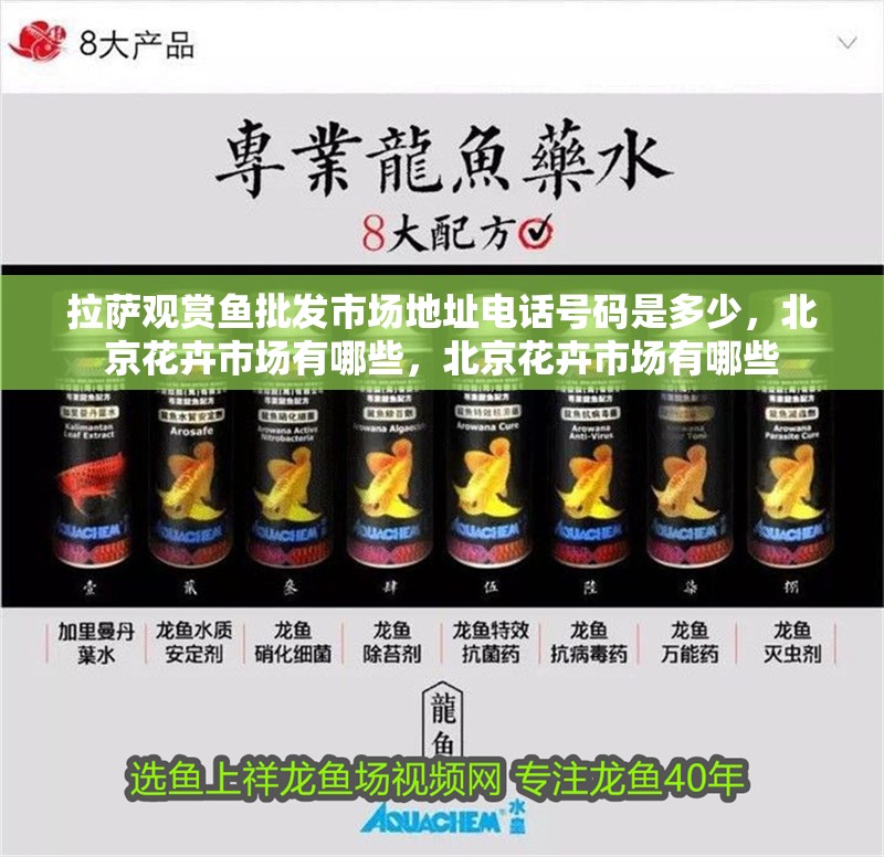 拉薩觀賞魚批發(fā)市場地址電話號碼是多少，北京花卉市場有哪些，北京花卉市場有哪些