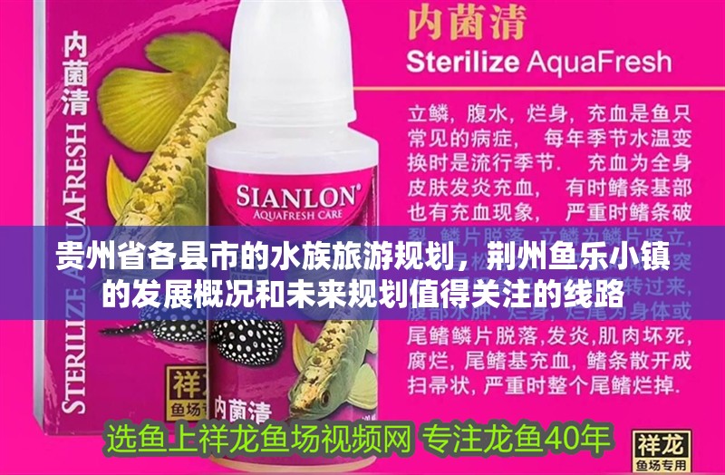 貴州省各縣市的水族旅游規劃，荊州魚樂小鎮的發展概況和未來規劃值得關注的線路