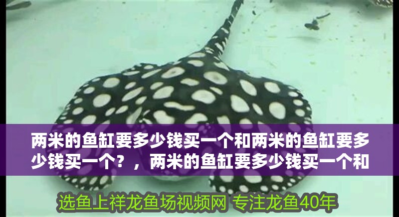 兩米的魚缸要多少錢買一個和兩米的魚缸要多少錢買一個？，兩米的魚缸要多少錢買一個和兩米的魚缸要多少錢一個