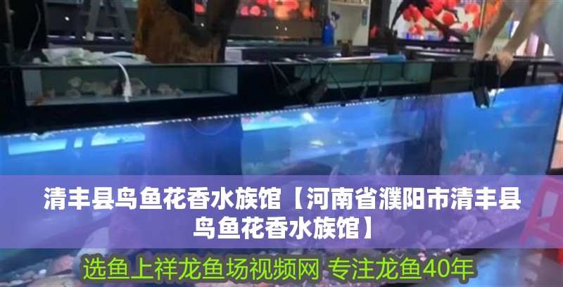 清豐縣鳥魚花香水族館【河南省濮陽市清豐縣鳥魚花香水族館】