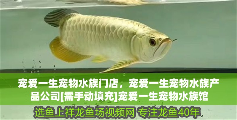 寵愛一生寵物水族門店，寵愛一生寵物水族產品公司[需手動填充]寵愛一生寵物水族館