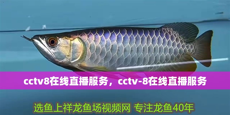 cctv8在線直播服務(wù)，cctv-8在線直播服務(wù)