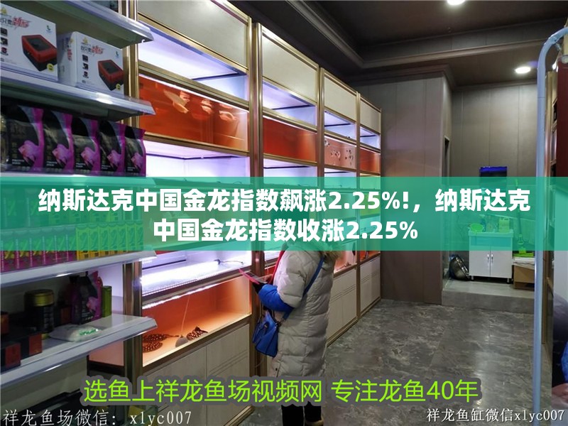 納斯達克中國金龍指數飆漲2.25%!，納斯達克中國金龍指數收漲2.25%