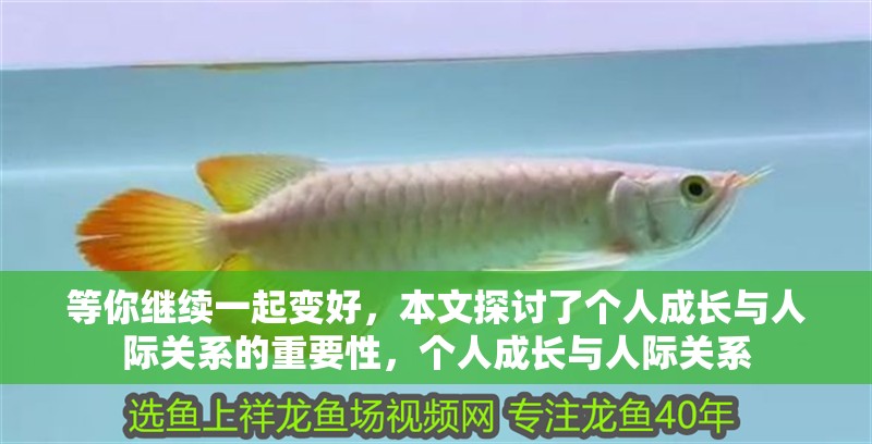 等你繼續一起變好，本文探討了個人成長與人際關系的重要性，個人成長與人際關系