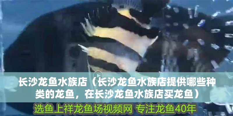 長沙龍魚水族店（長沙龍魚水族店提供哪些種類的龍魚，在長沙龍魚水族店買龍魚）