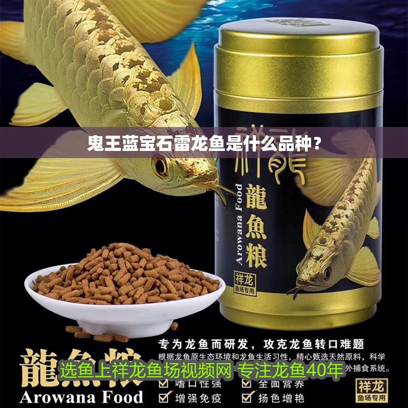 鬼王藍(lán)寶石雷龍魚(yú)是什么品種？