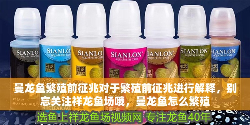 曼龍魚繁殖前征兆對于繁殖前征兆進行解釋，別忘關注祥龍魚場哦，曼龍魚怎么繁殖