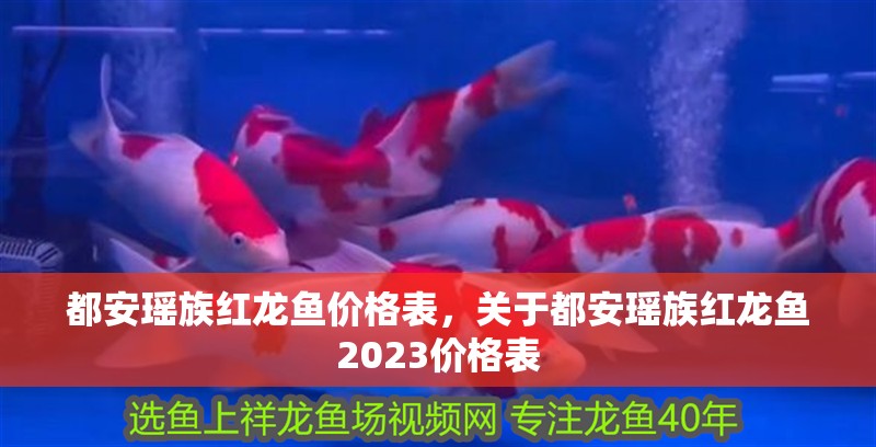 都安瑤族紅龍魚價格表，關于都安瑤族紅龍魚2023價格表