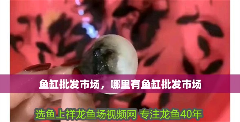 魚缸批發市場，哪里有魚缸批發市場