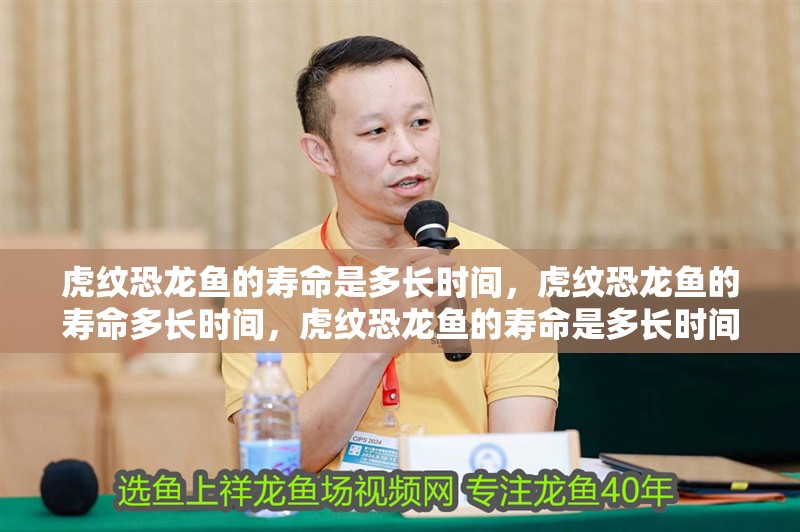 虎紋恐龍魚的壽命是多長(zhǎng)時(shí)間，虎紋恐龍魚的壽命多長(zhǎng)時(shí)間，虎紋恐龍魚的壽命是多長(zhǎng)時(shí)間