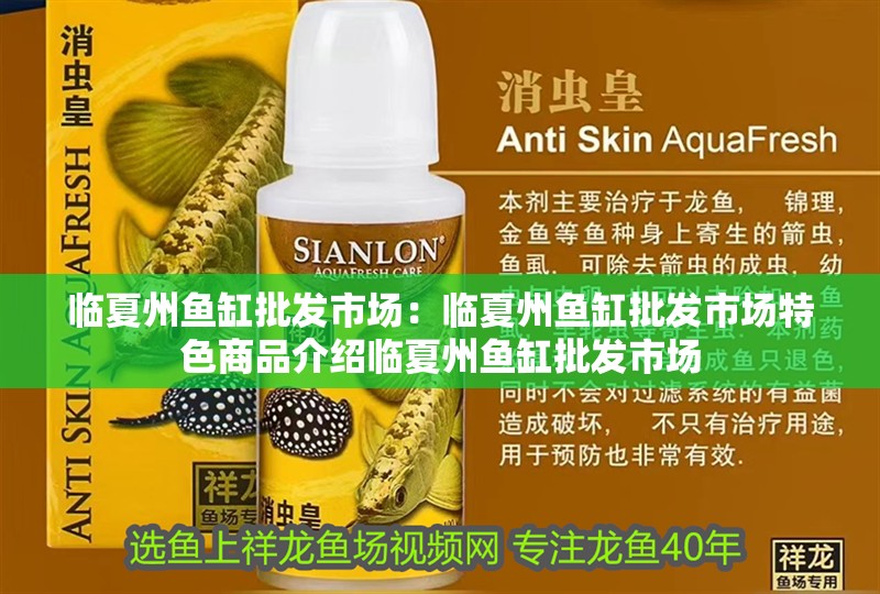 臨夏州魚缸批發(fā)市場：臨夏州魚缸批發(fā)市場特色商品介紹臨夏州魚缸批發(fā)市場