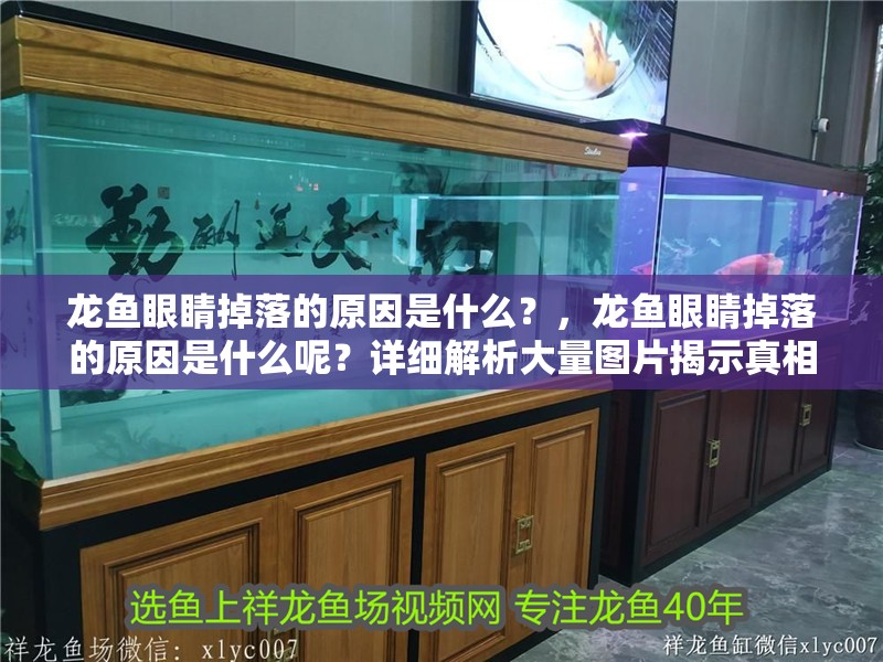 龍魚眼睛掉落的原因是什么？，龍魚眼睛掉落的原因是什么呢？詳細解析大量圖片揭示真相！