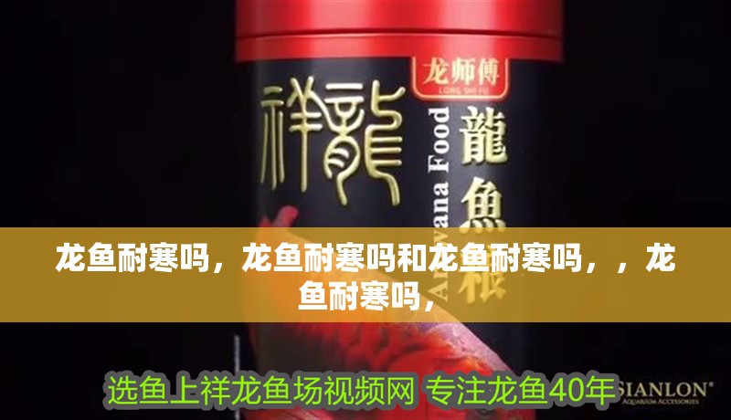 龍魚耐寒嗎，龍魚耐寒嗎和龍魚耐寒嗎，，龍魚耐寒嗎，